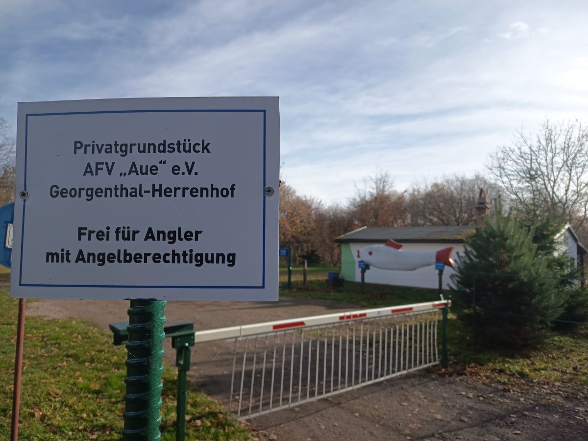 IMG 20251111 120206 1200x900